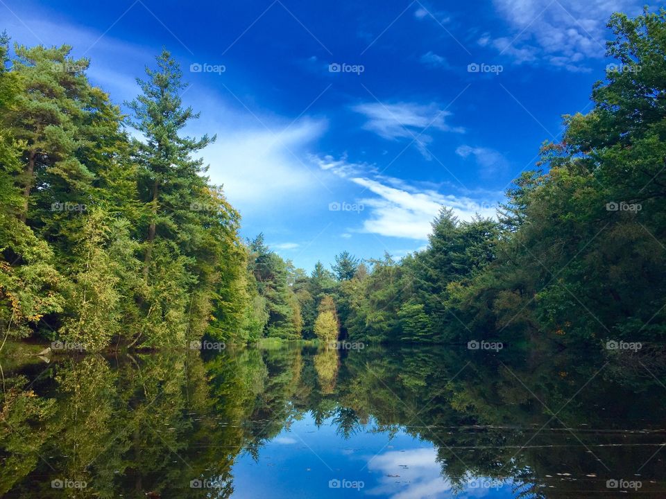 Blue sky white clouds and pond in nature