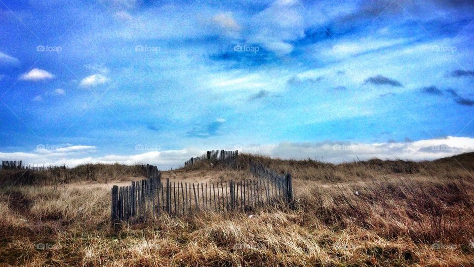 Sand Dunes