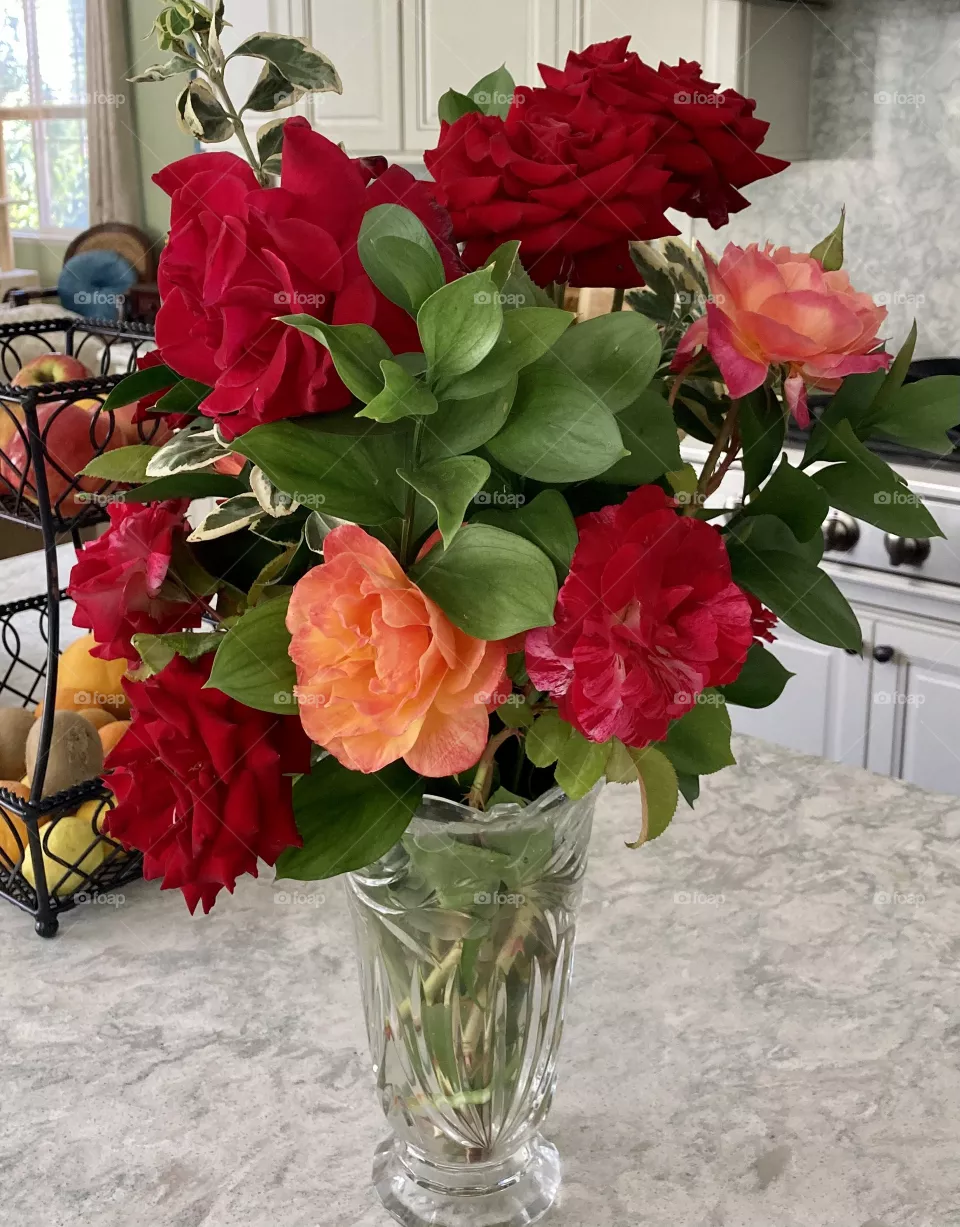 Garden roses 