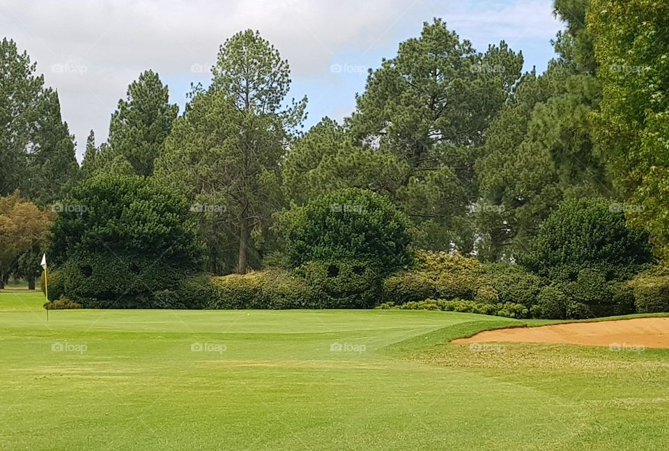 Trying to go for the green but the bushes keep staring at me.