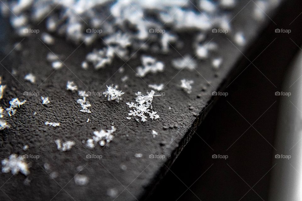 What beauty we find in little things!