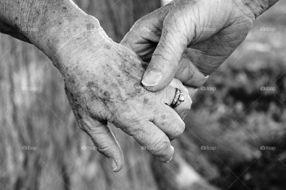 Close-up of senior adults hand