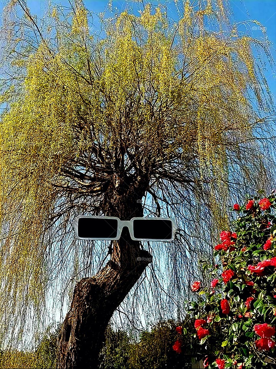 A tree with falling golden leaves branches and huge sunglasses which looks like the head of a rock star