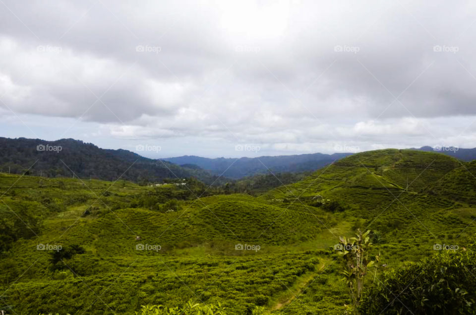 morning view in the hills