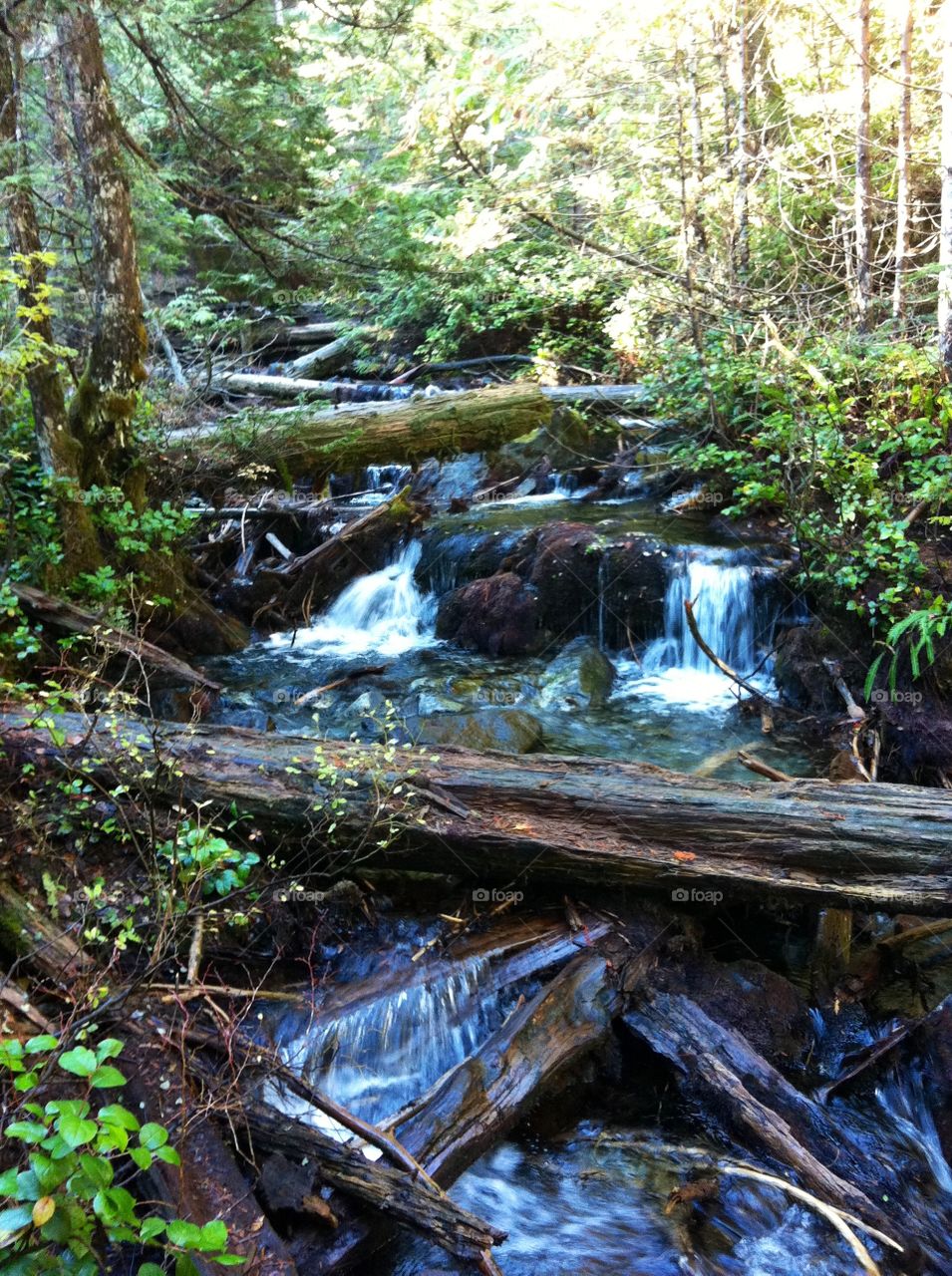 Small, beautiful falls