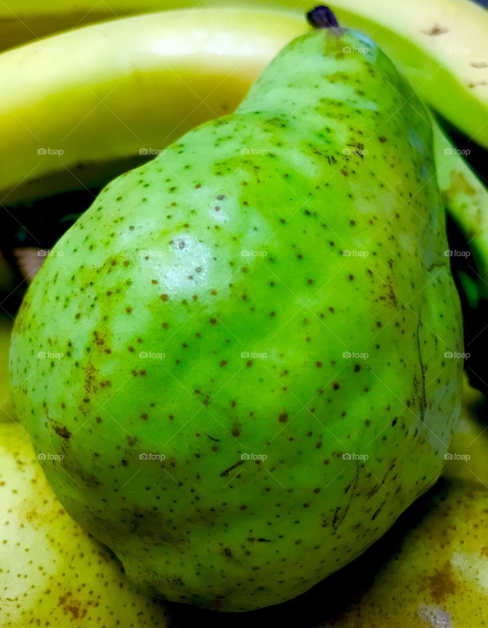 Summer pear