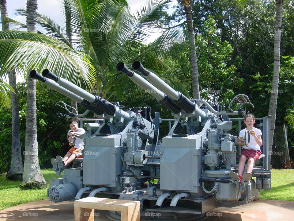 palm trees gun hawaii huge gun by mengzishiliu