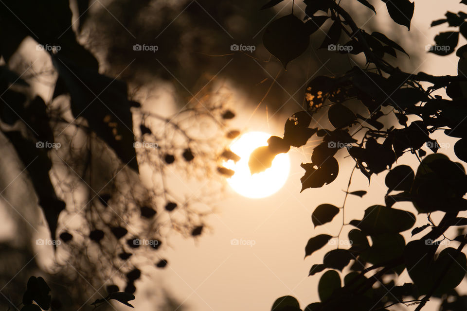 Nature is so beautifull capture it because every moment nature is changed