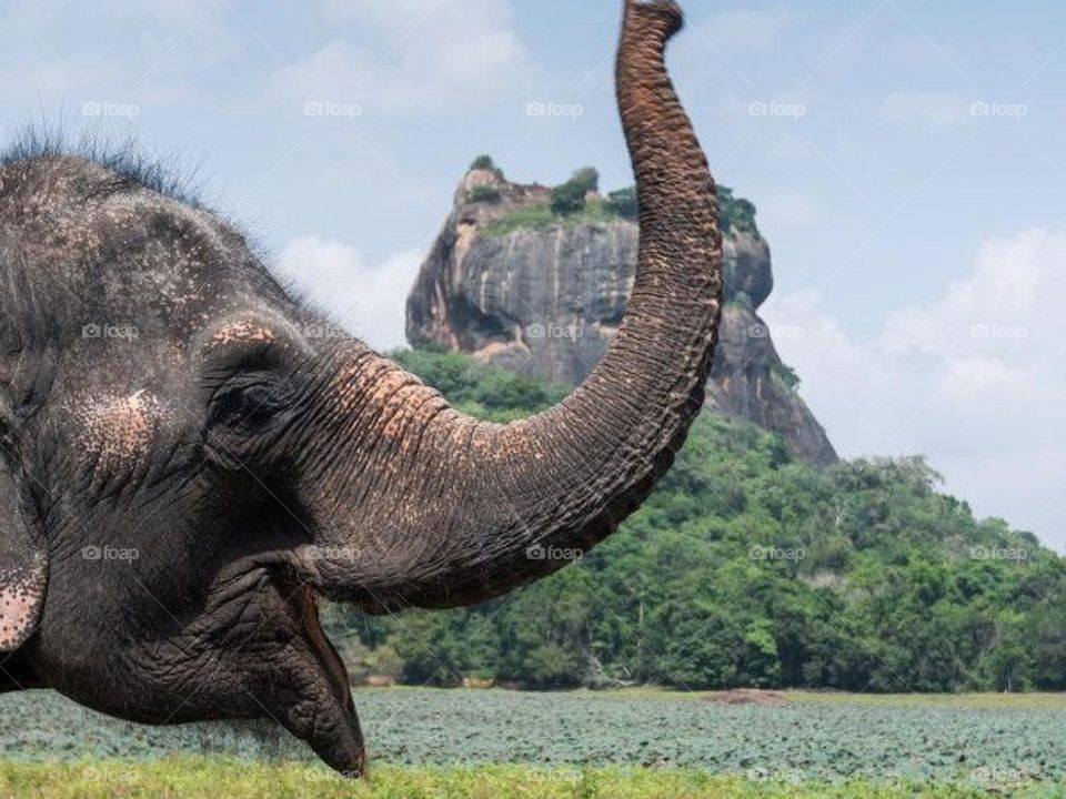 Sigiriya , Sri Lanka  ❤️