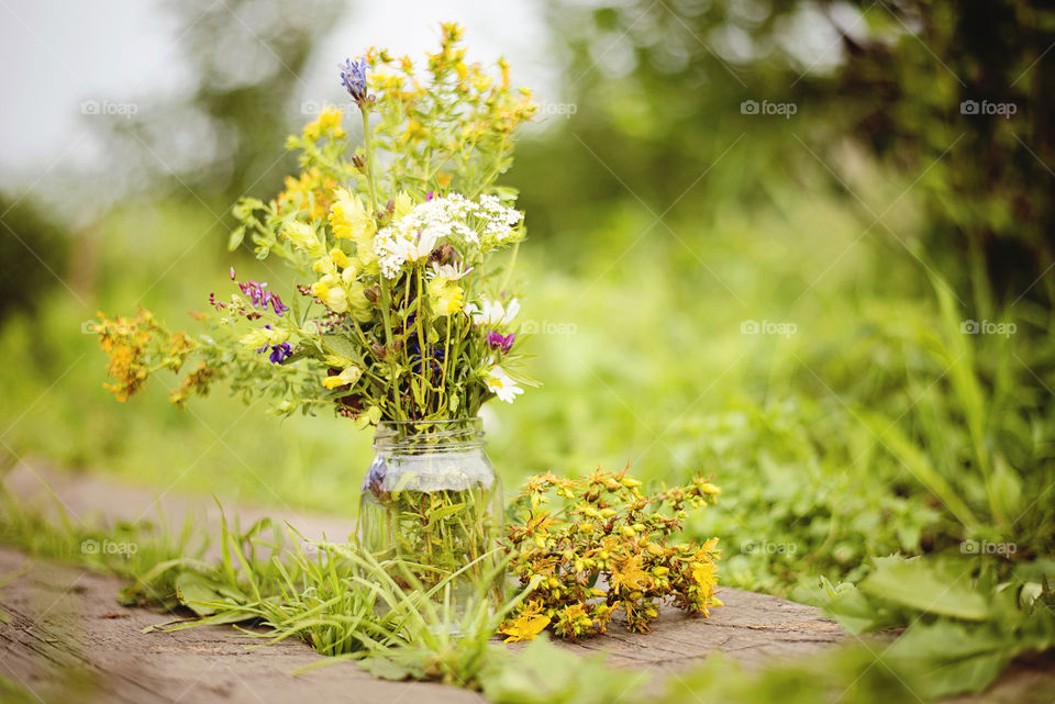 Flowers in vase