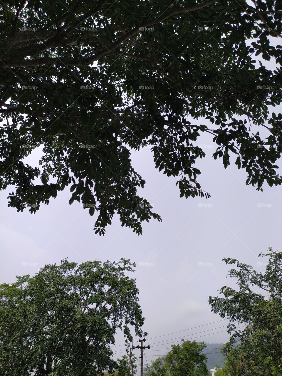 In the lap of nature after a painfully long time