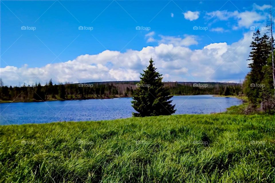 This is the „Oderteich“, a reservoir built in the 1700s by miners from „St Andreasberg“ in „Harz“, „Saxony-Anhalt“ in former „East Germany“. It still supplies much of the water today. 2024. Hypnotic Productions