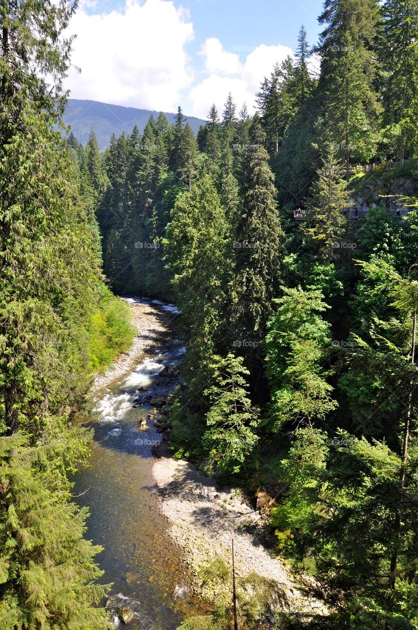 Capilano park, vancouver