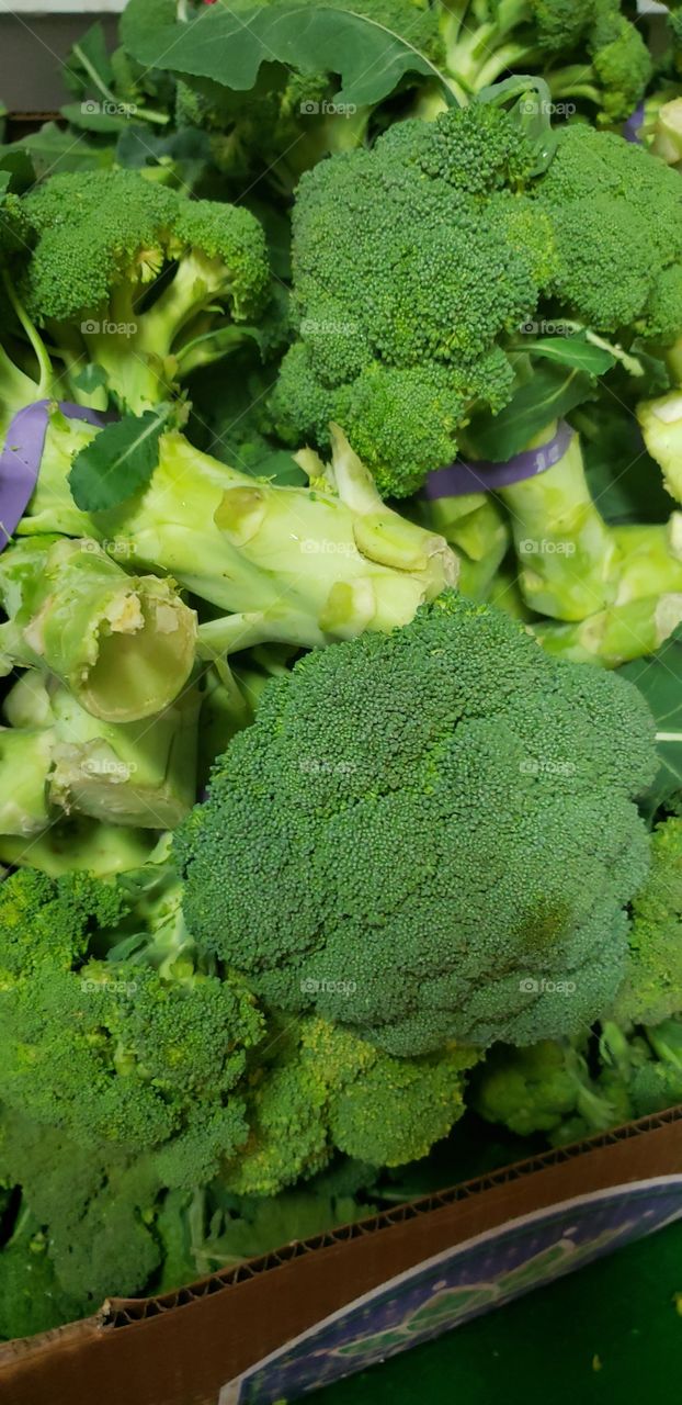 Broccoli 🥦 eating healthy 😋 is the way.