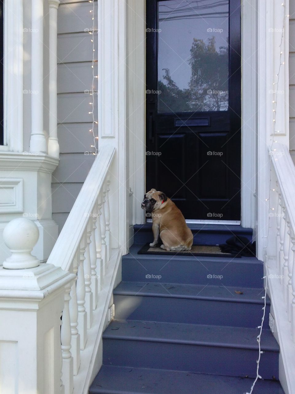 Step, House, Window, Door, Architecture