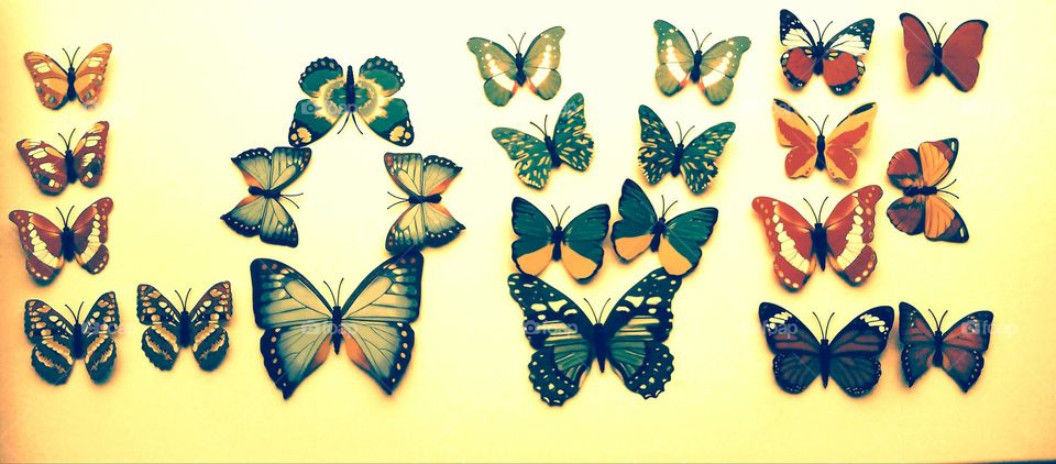 Illustration, Butterfly, Pattern, Design, Creativity