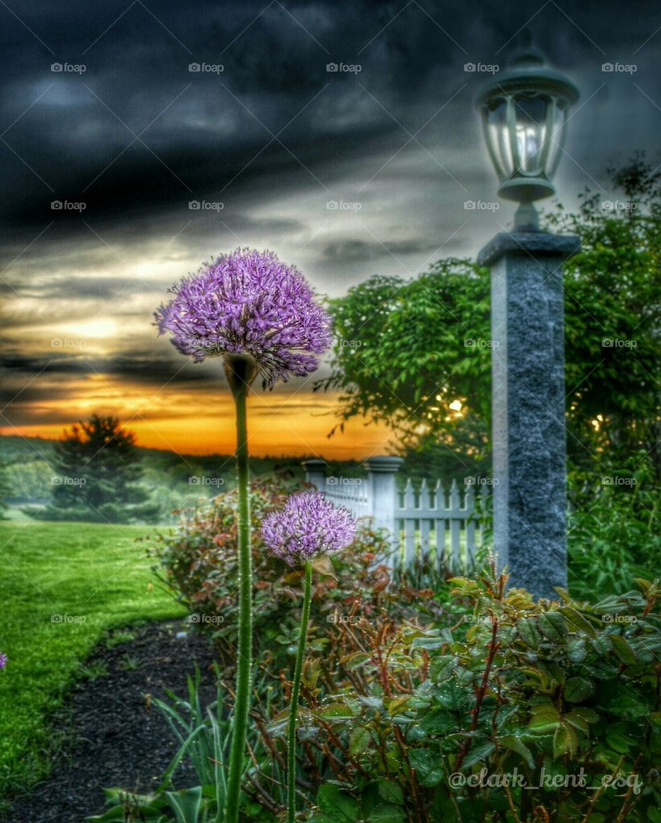 Sunrise in New Hampshire