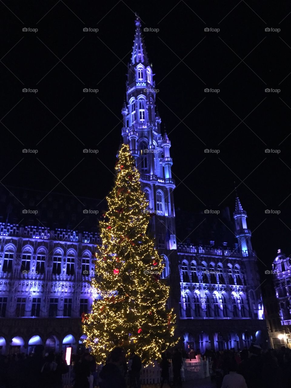 Brussels, Belgium Grand Place Christmas 2016 tree at night.
