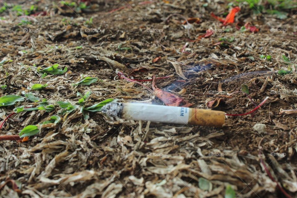 cigarette butt