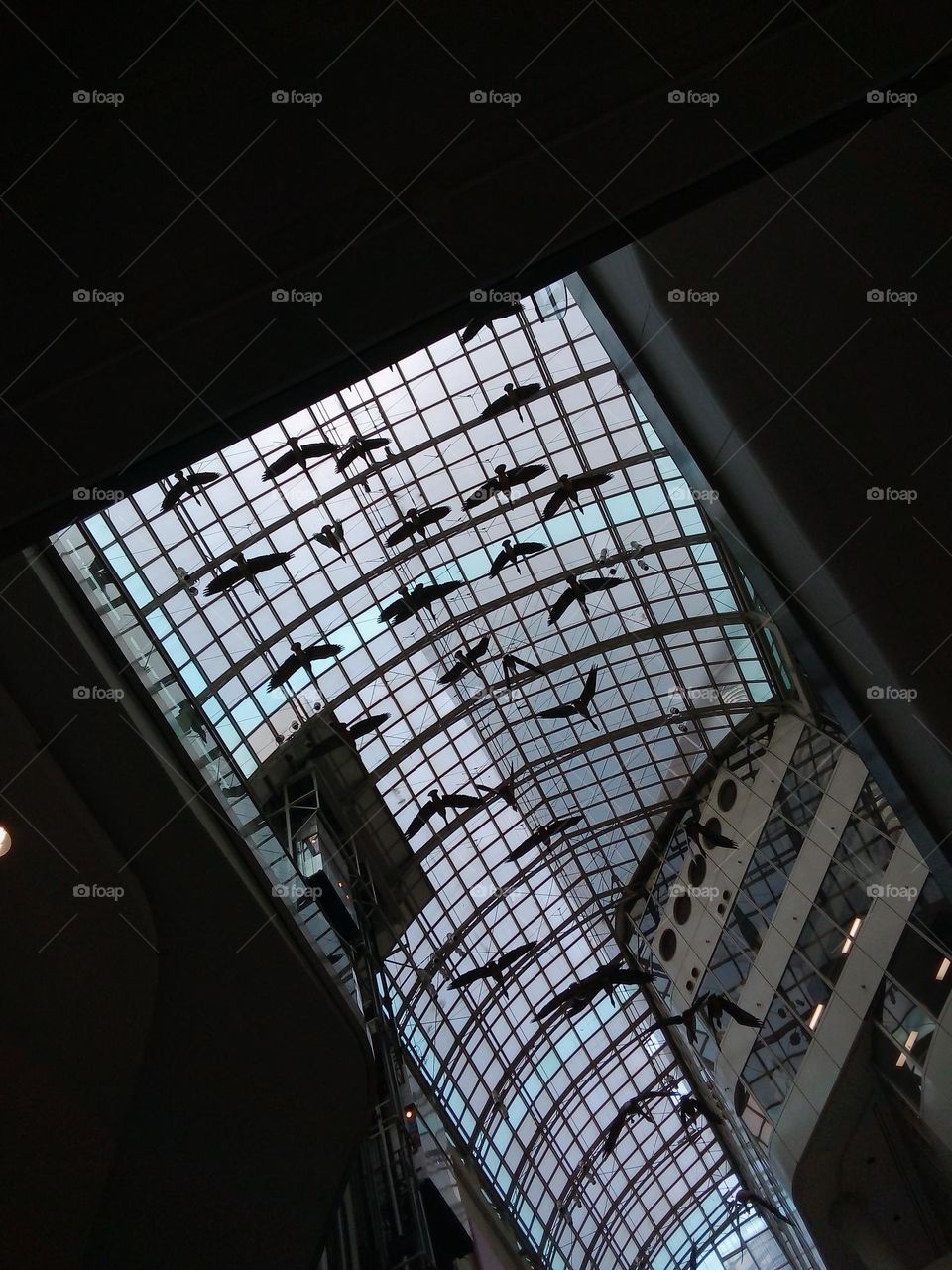 Bird decoration in a shopping center in Toronto, Canada