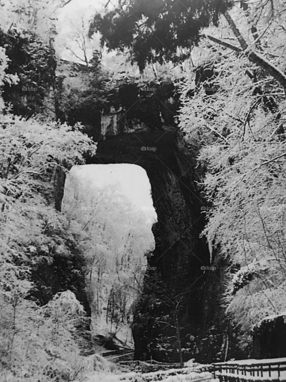 Winter snowy natural Bridge