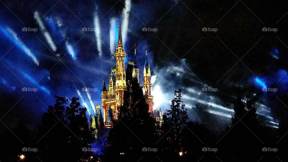 Disney  Magic Kingdom