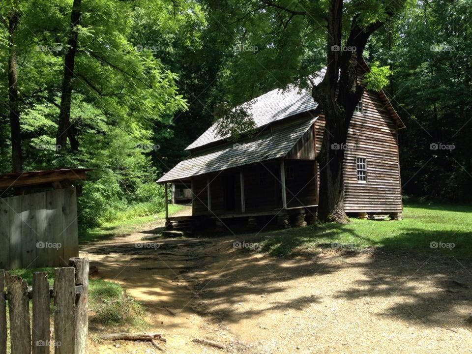 Cabin in the woods. Great get away
