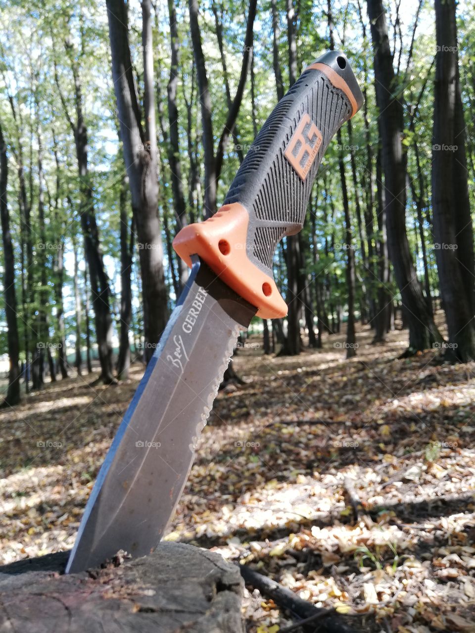 Forest knife