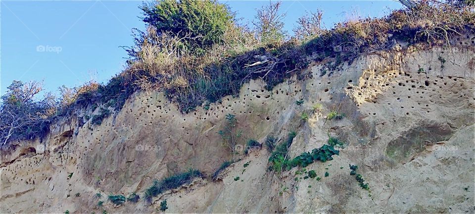 These are the cliffs behind the sand dunes of the island “Hiddensee” in the “Baltic Sea” or “Ostsee” in “Mecklenburg - Western Pomerania”, Germany. 2024. Hypnotic Productions