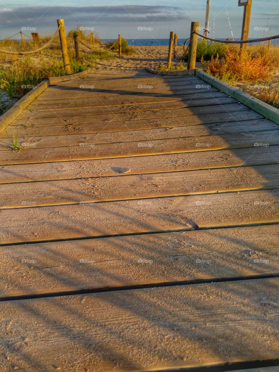 Path