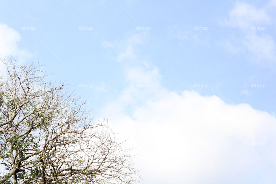 blue spring sky at the horizon