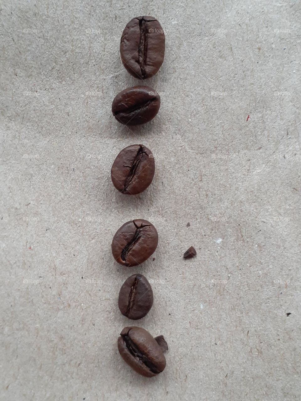 A line of coffee beans