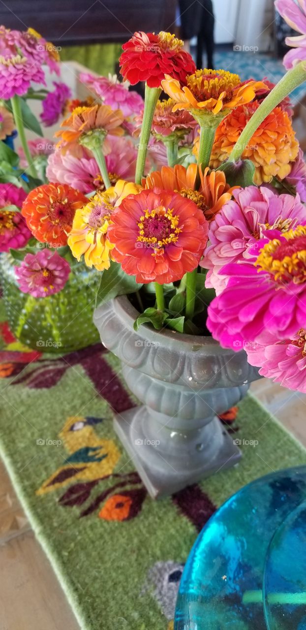 zinnias at the party
