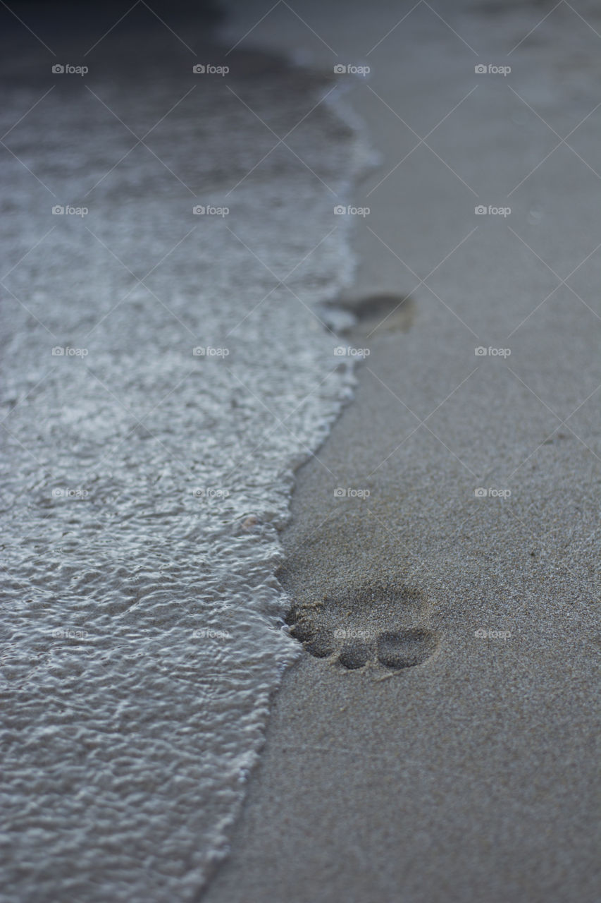 footprints washed by waves. footprints washed by waves on the beach