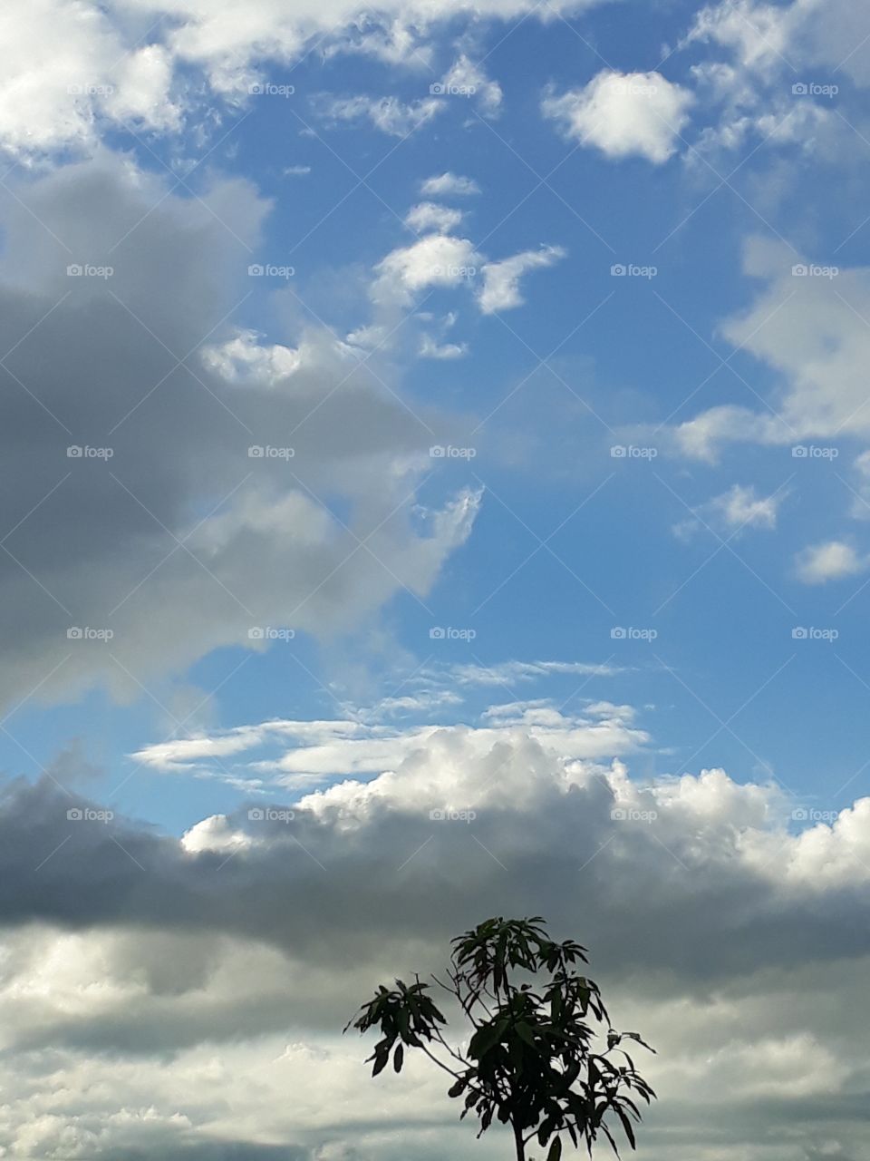 Beautiful sky and cloud in the sky