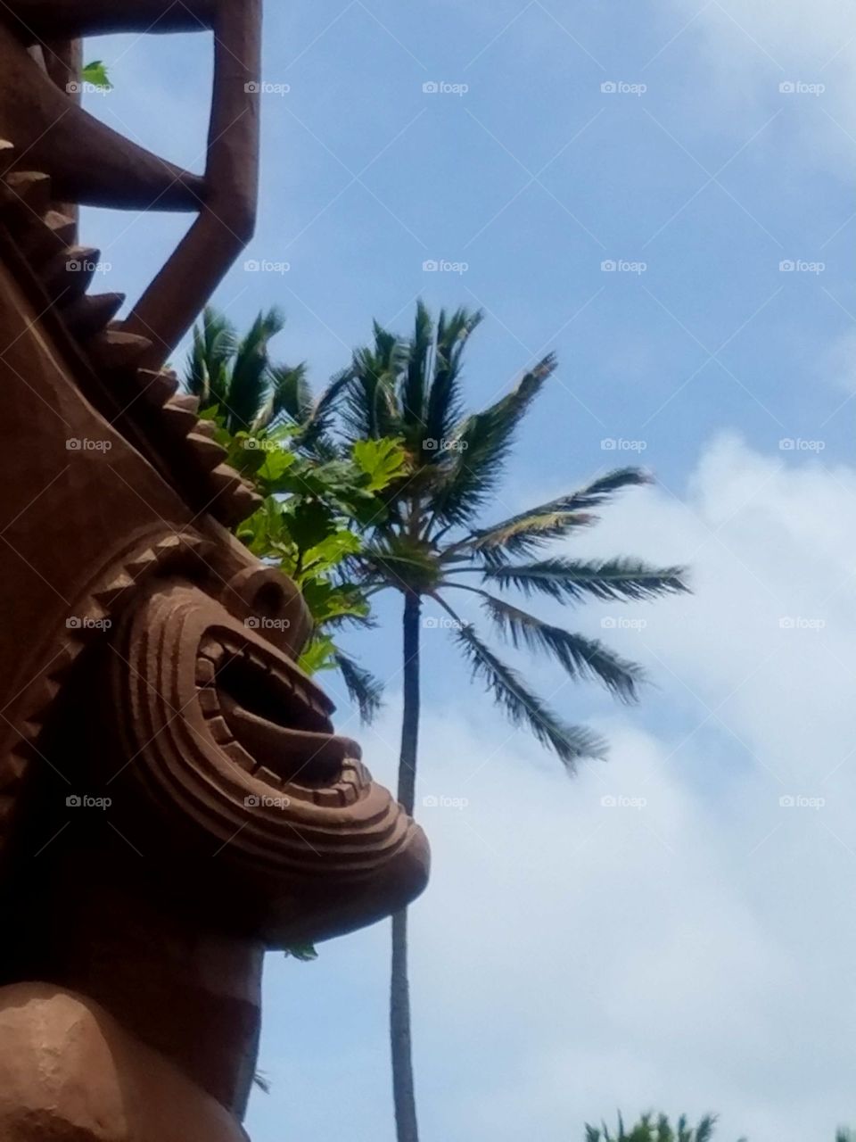 Tiki overlooking palm trees