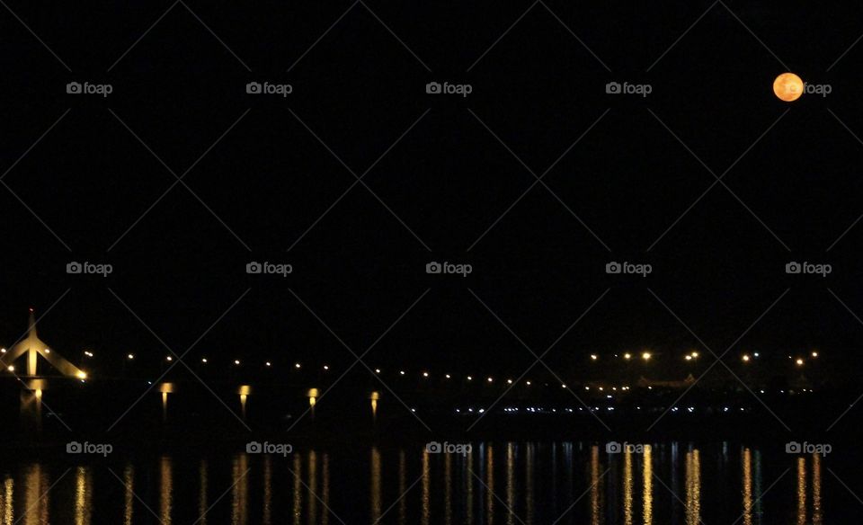 Bridge of night 
