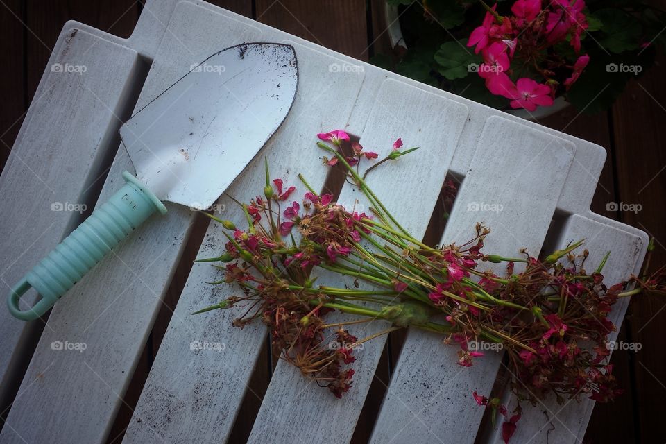 Geranium Pieces