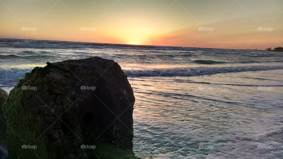 Rock