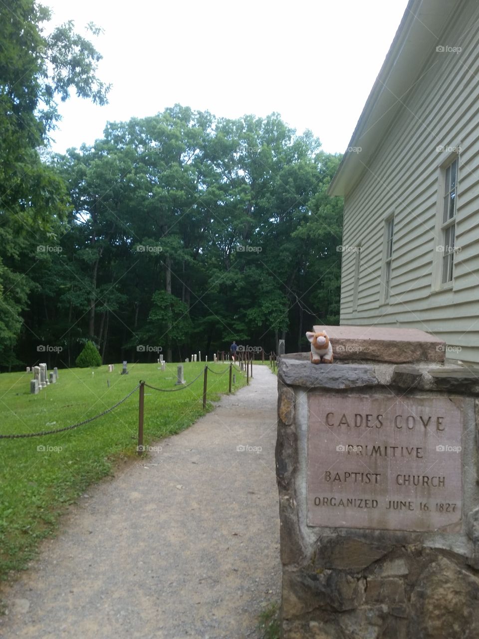 Pigglett at the old Baptist church in Cades Cove Tennessee tist