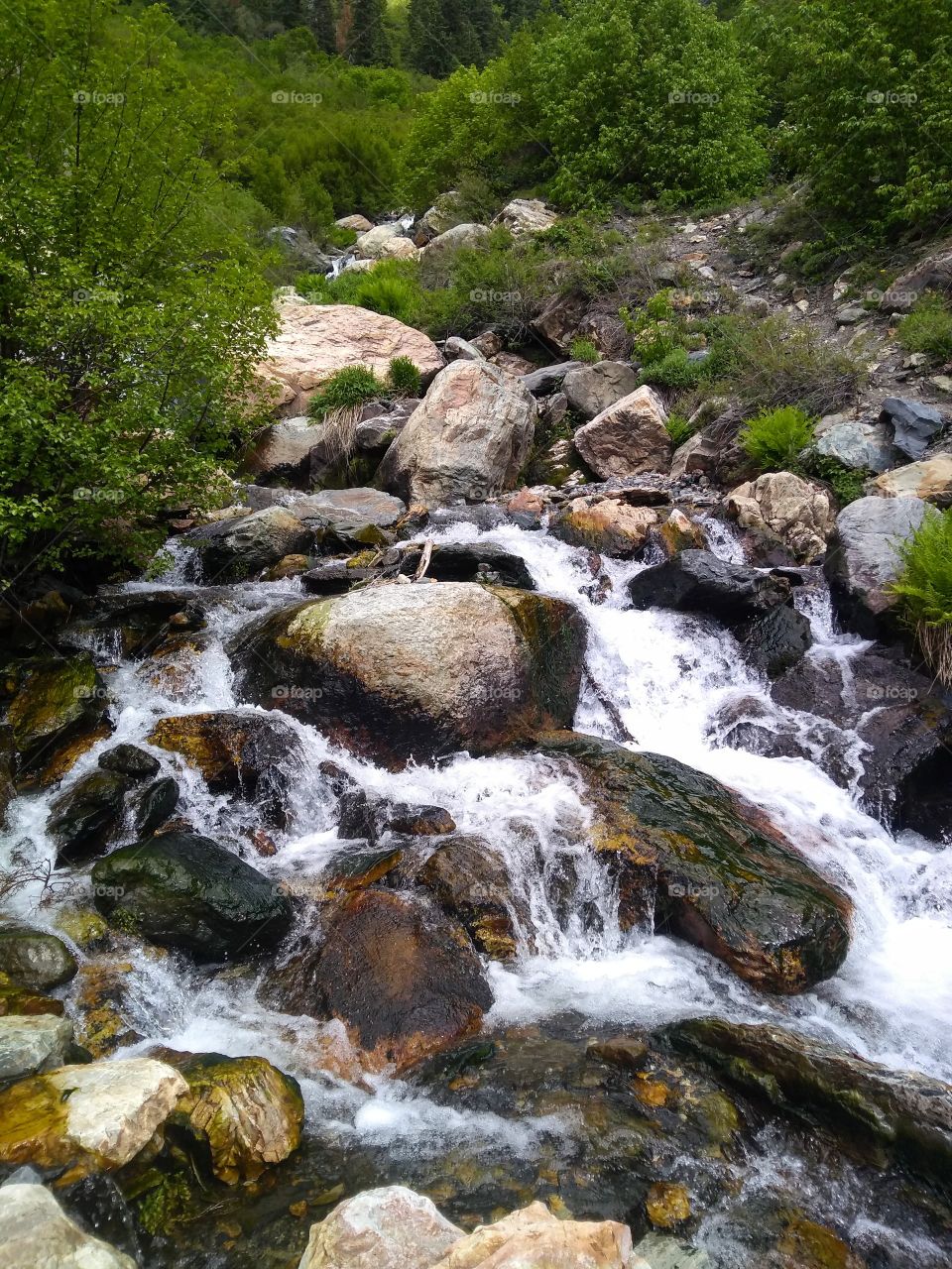 Waterfall in the Wasatch Mountains