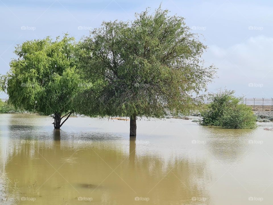 raining and flood