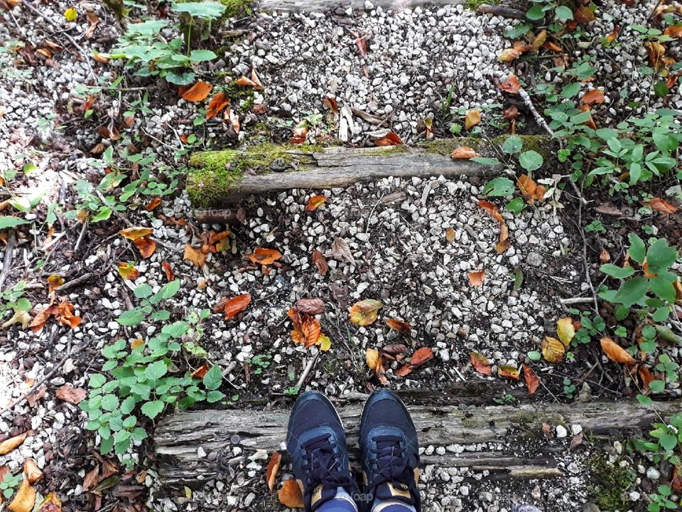 Stepping in the autumnal season