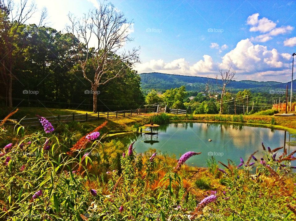 The Lake. Beautiful view from the mountains in the USA 