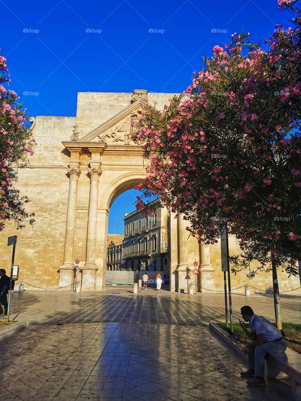 Memory view hand happy flower beauty nature form shape day part green plant man human body travel wild heaven top Red house building shale rest view home outdoor outside castle old town city historical history ruined memory view