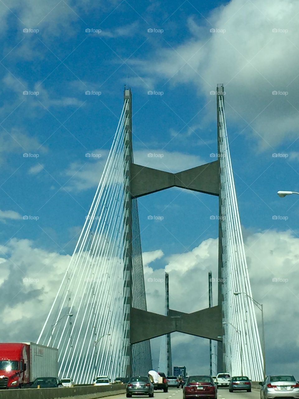 Talmadge Memorial Bridge 