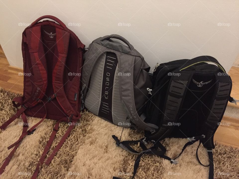 After work and school, three OSPREY brothers are getting rest 😂😂😂