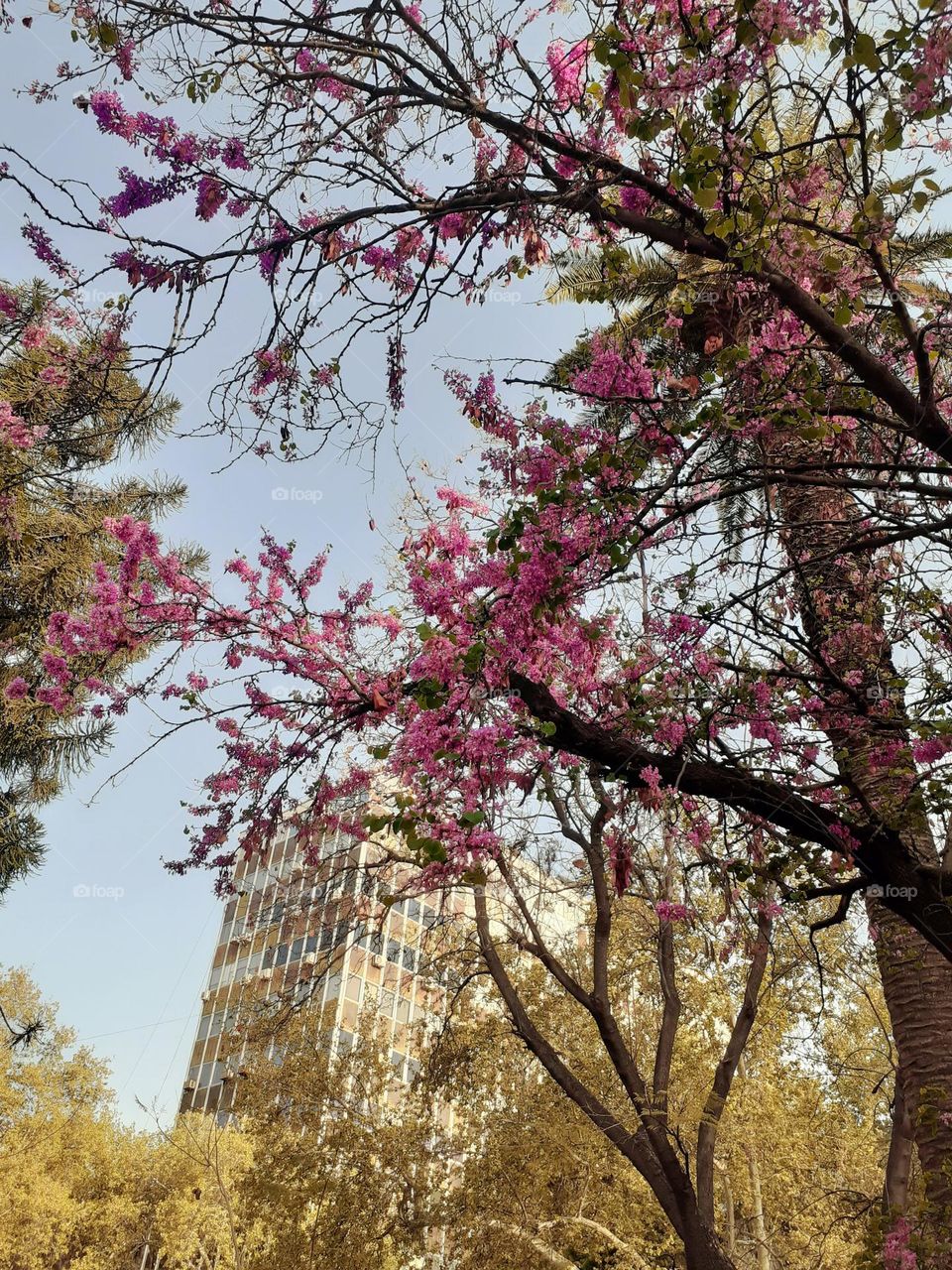 vista del edificio de ciudad