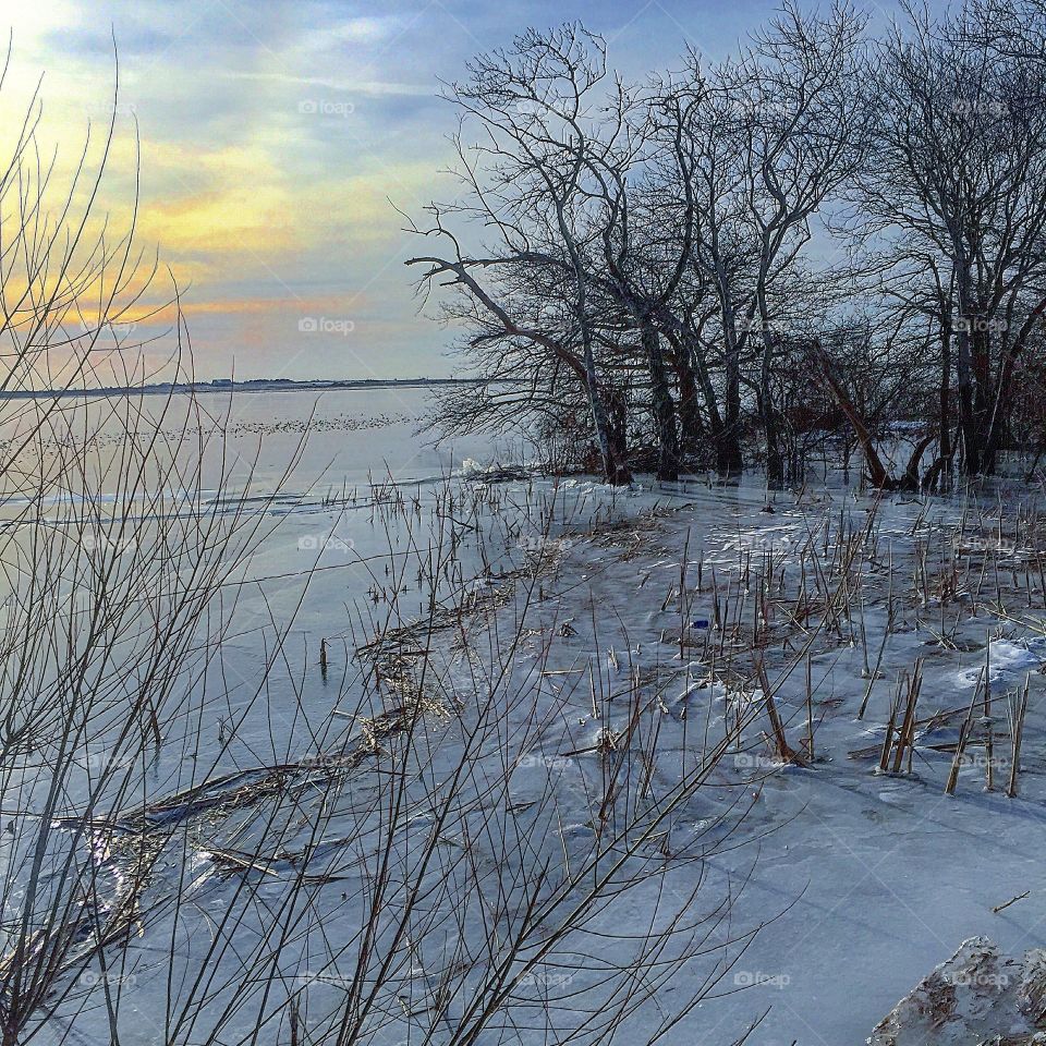 Winter, Snow, Cold, Frost, Frozen