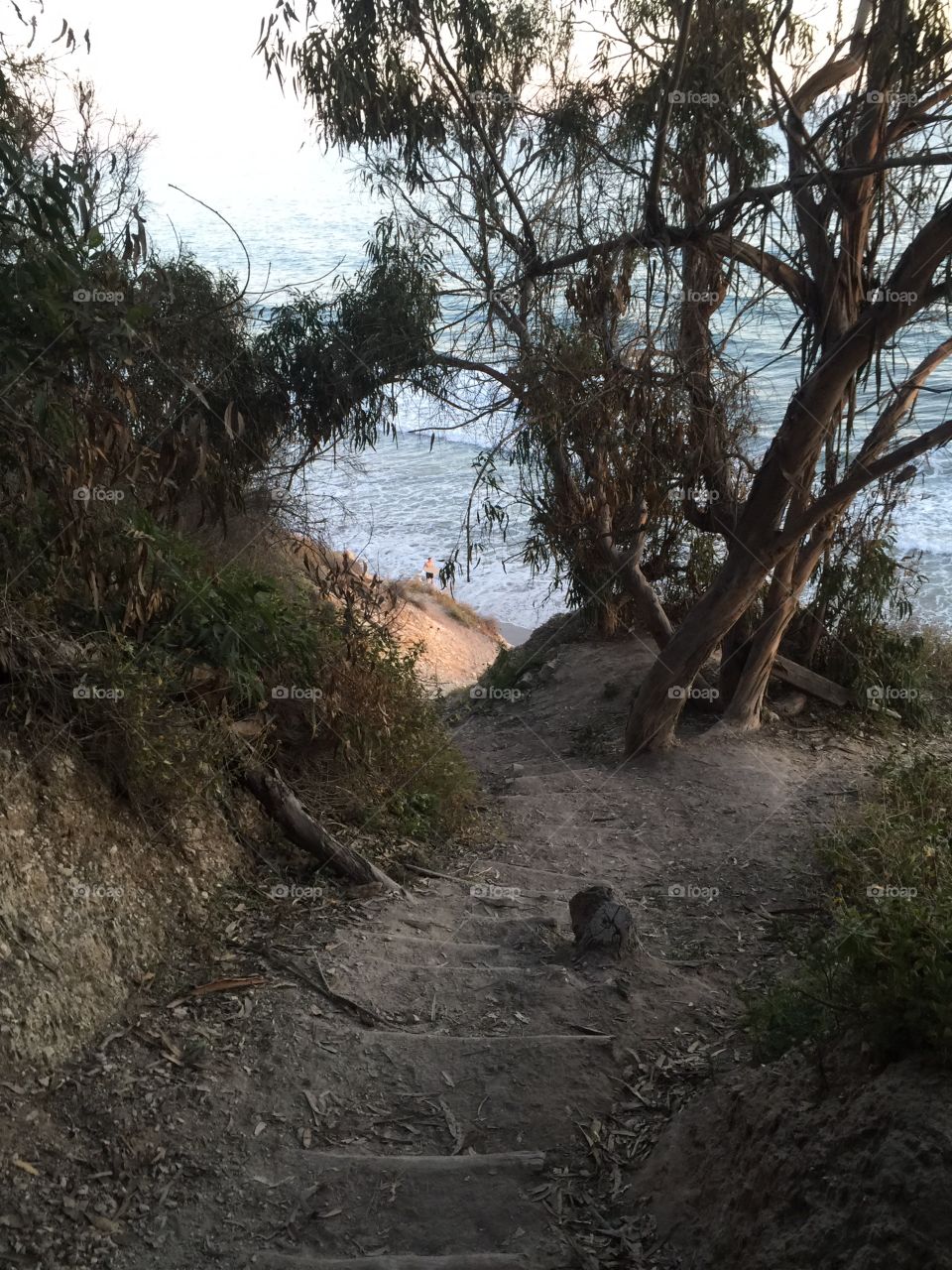 No Person, Landscape, Water, Tree, Nature